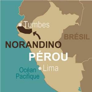 Pérou coopérative Norandino